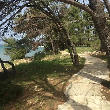 Apartmant Jela
